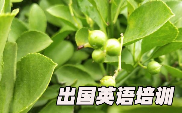 苏州高新区出国英语培训机构哪个好_学费多少钱
