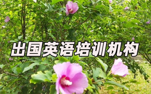 苏州工业园区出国英语培训机构哪个好_学费多少钱
