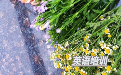 南京鼓楼区出国英语培训机构哪个好_学费多少钱