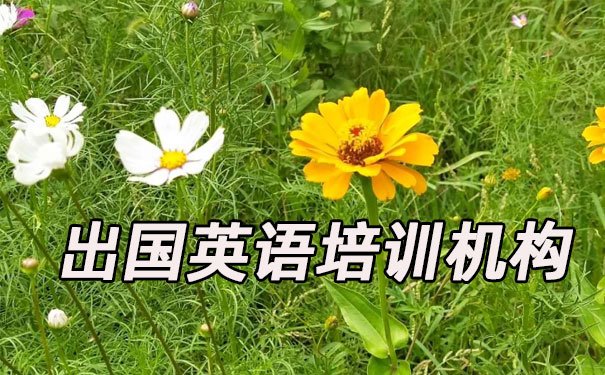 无锡滨湖区出国英语培训机构哪个好_学费多少钱