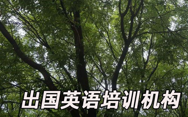 绍兴越城区出国英语培训机构哪个好_学费多少钱