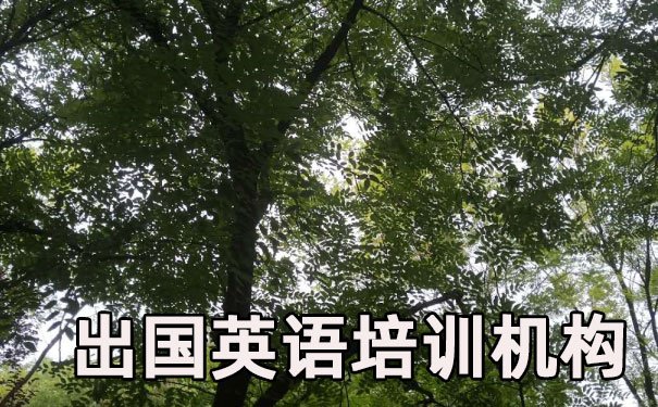 绍兴柯桥区出国英语培训机构哪个好_学费多少钱