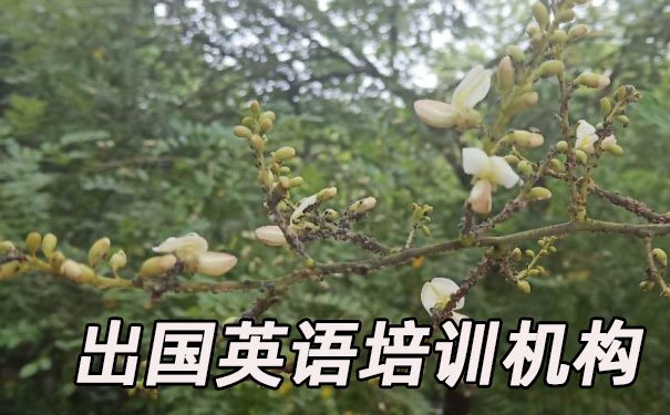 西安出国英语培训机构哪个好_学费多少钱