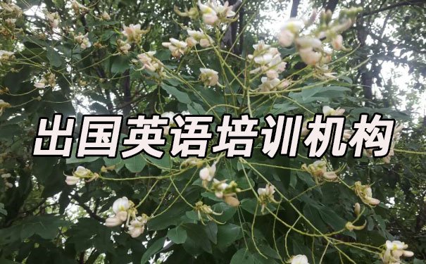 西安碑林区出国英语培训机构哪个好_学费多少钱