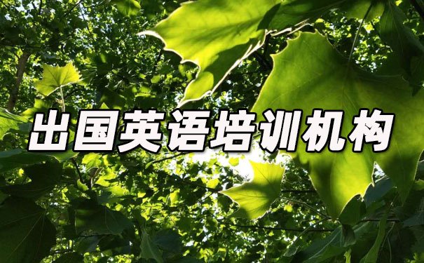 合肥瑶海区出国英语培训机构哪个好_学费多少钱