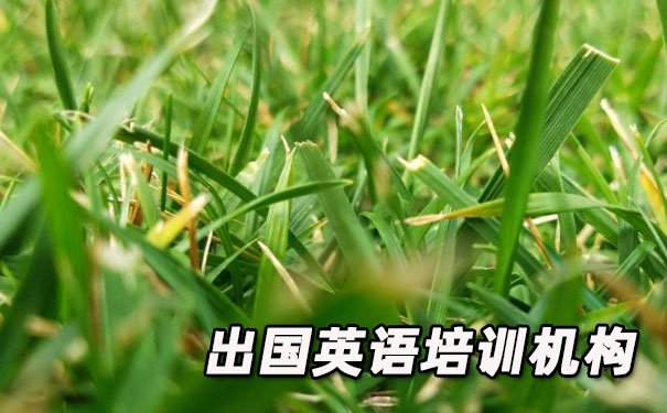 合肥滨湖新区出国英语培训机构哪个好_学费多少钱