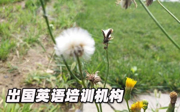 重庆出国英语培训机构哪个好_学费多少钱