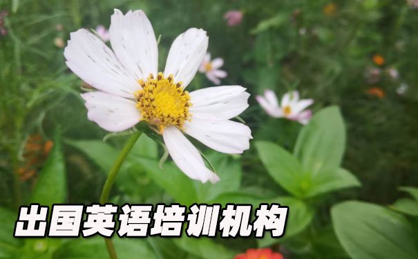 绵阳出国英语培训机构哪个好_学费多少钱