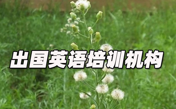 成都武侯区出国英语培训机构哪个好_学费多少钱