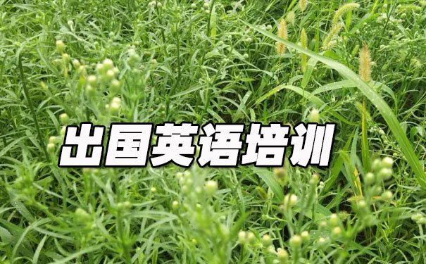 汕头金平区出国英语培训机构哪个好_学费多少钱