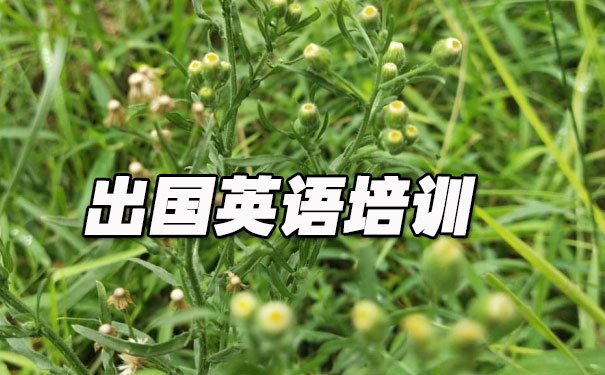 大连沙河口区出国英语培训机构哪个好_学费多少钱