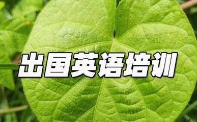大连开发区出国英语培训机构哪个好_学费多少钱