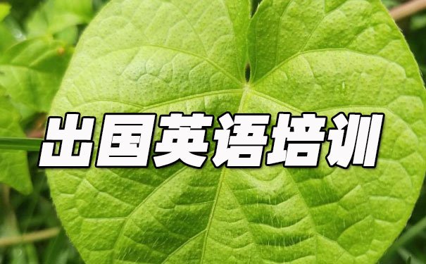 大连开发区出国英语培训机构哪个好_学费多少钱