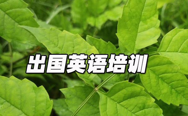 福州出国英语培训机构哪个好_学费多少钱