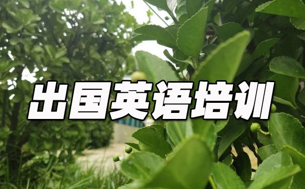 杭州滨江区出国英语培训机构哪个好_学费多少钱