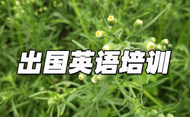 哈尔滨道里区出国英语培训机构哪个好_学费多少钱
