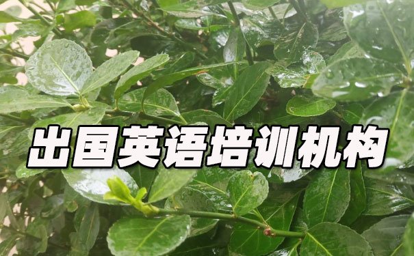 重庆南岸区出国英语培训机构哪个好_学费多少钱