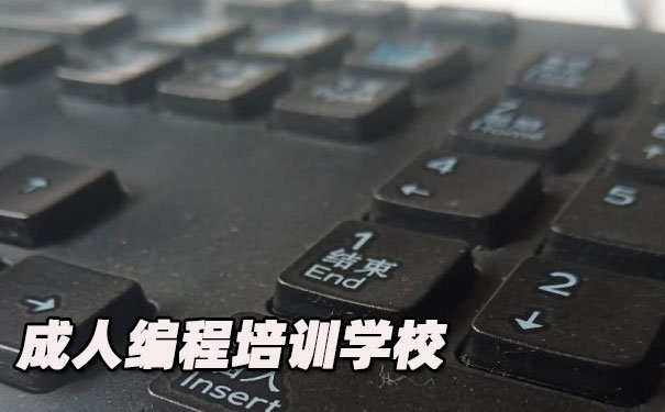 重庆沙坪坝成人编程培训学校_地址，学什么内容-中公优就业IT