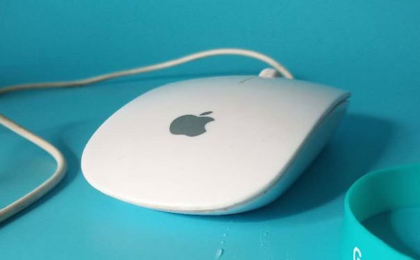 长春python培训机构哪个好_费用多少钱