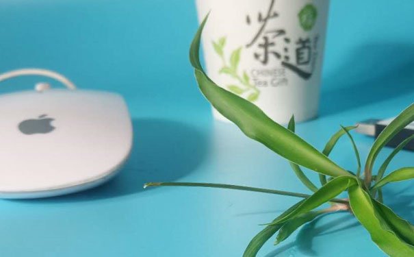 哈尔滨python培训机构哪个好_费用多少钱