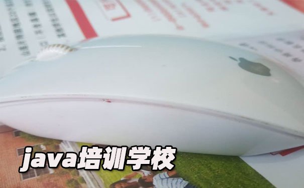 哈尔滨学java价格
