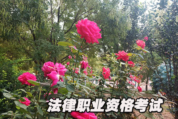 衡水法律职业资格考试培训机构哪个好