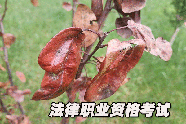 河北法律职业资格考试培训机构哪个好