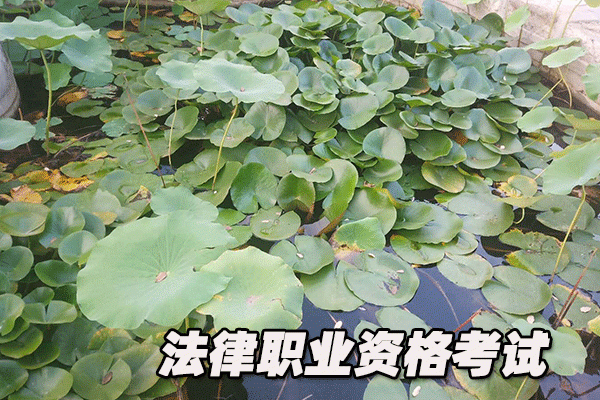 山西法律职业资格考试培训机构哪个好