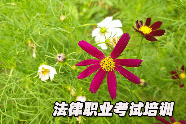 辽宁法律职业资格考试培训机构哪个好