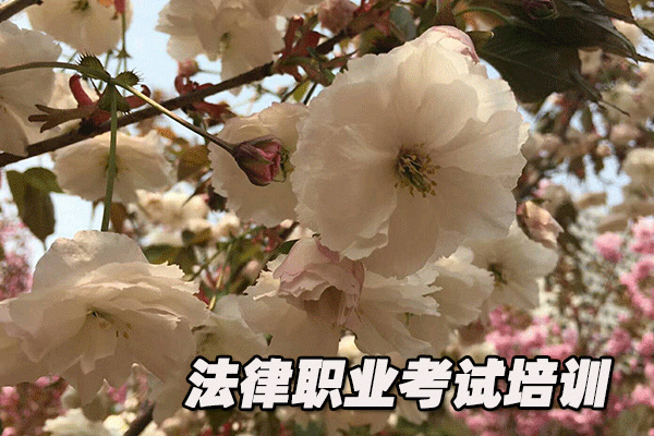 黄岛法律职业资格考试培训机构哪个好