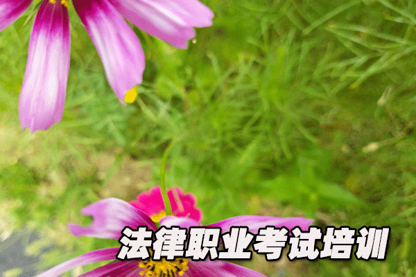 聊城法律职业资格考试培训机构哪个好