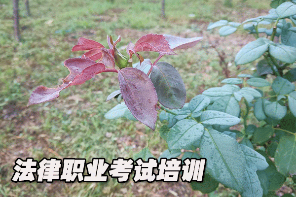 台州法律职业资格考试培训机构哪个好