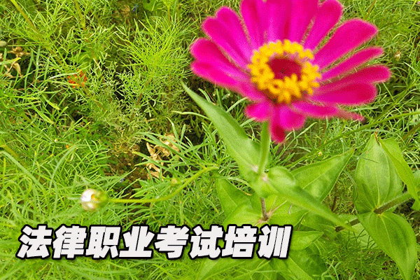 丽水法律职业资格考试培训机构哪个好