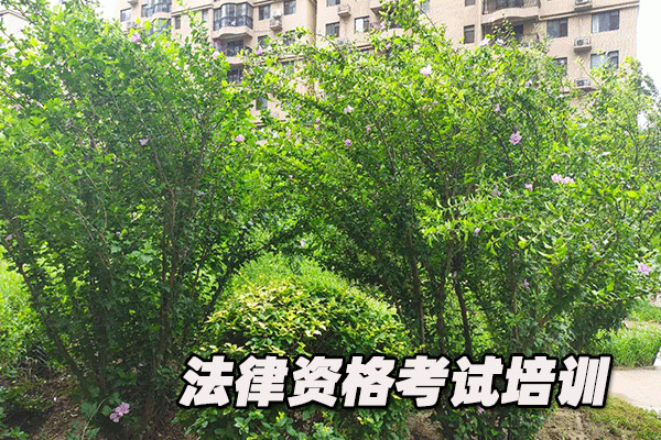 淮南法律职业资格考试培训机构哪个好