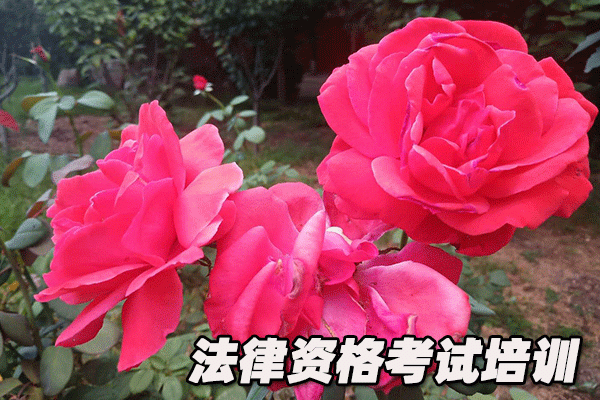 阜阳法律职业资格考试培训机构哪个好