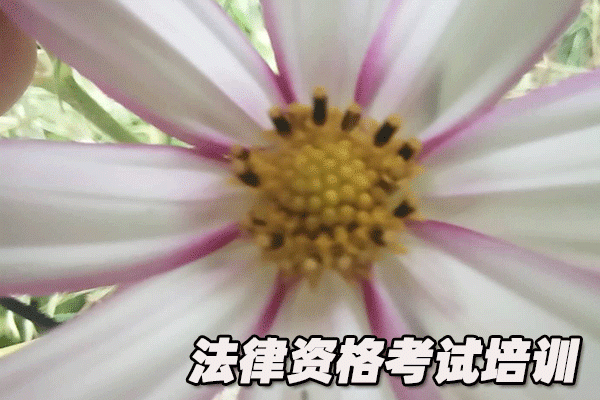 合肥法律职业资格考试培训机构哪个好