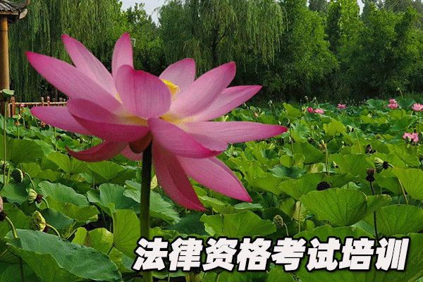 蚌埠法律职业资格考试培训机构哪个好