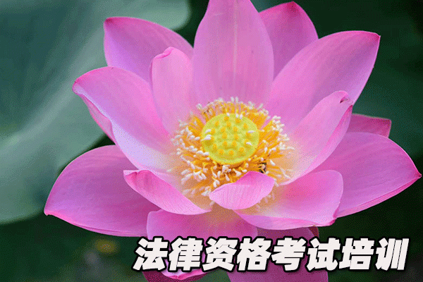 福州法律职业资格考试培训机构哪个好