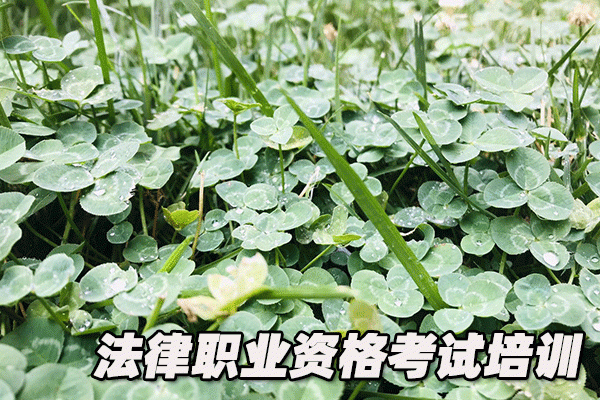 河南法律职业资格考试培训机构哪个好