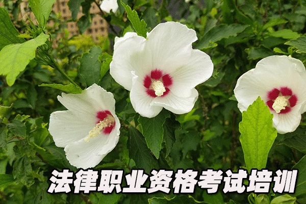 新乡法律职业资格考试培训机构哪个好