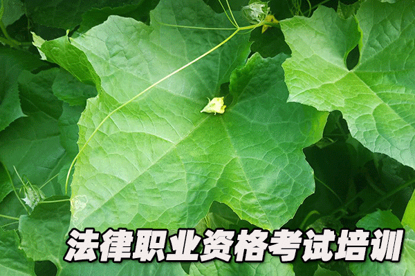 商丘法律职业资格考试培训机构哪个好