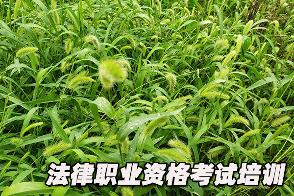 焦作法律职业资格考试培训机构哪个好