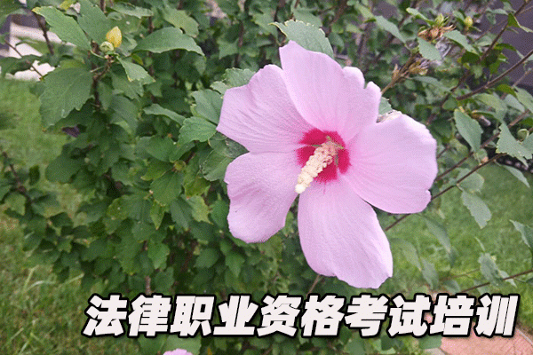 信阳法律职业资格考试培训机构哪个好