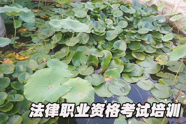 开封法律职业资格考试培训机构哪个好