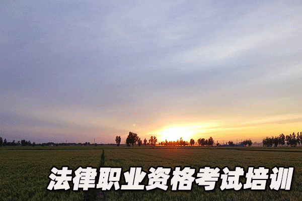 驻马店法律职业资格考试培训机构哪个好