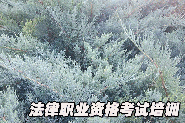 长沙法律职业资格考试培训机构哪个好