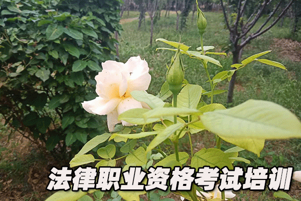 湖南法律职业资格考试培训机构哪个好