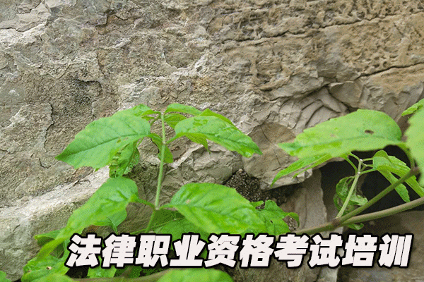 益阳法律职业资格考试培训机构哪个好