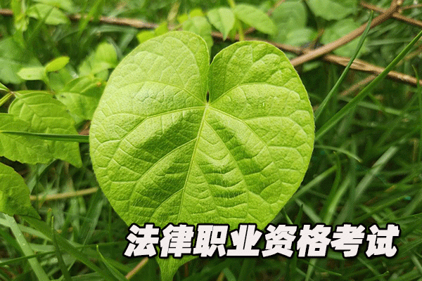 湖北法律职业资格考试培训机构哪个好