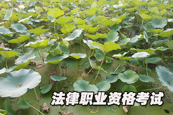 随州法律职业资格考试培训机构哪个好